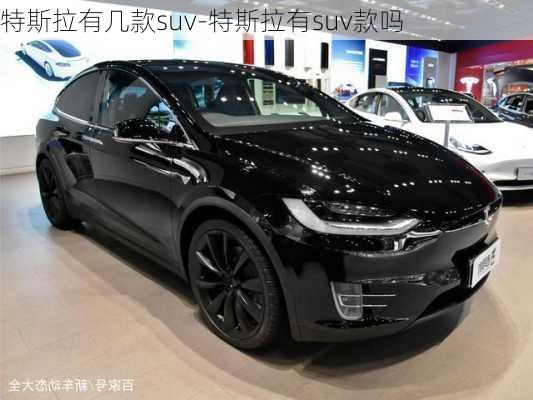 特斯拉有几款suv-特斯拉有suv款吗