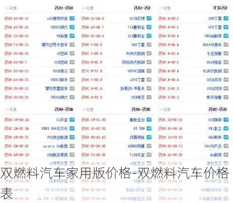 双燃料汽车家用版价格-双燃料汽车价格表