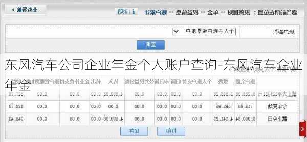 东风汽车公司企业年金个人账户查询-东风汽车企业年金