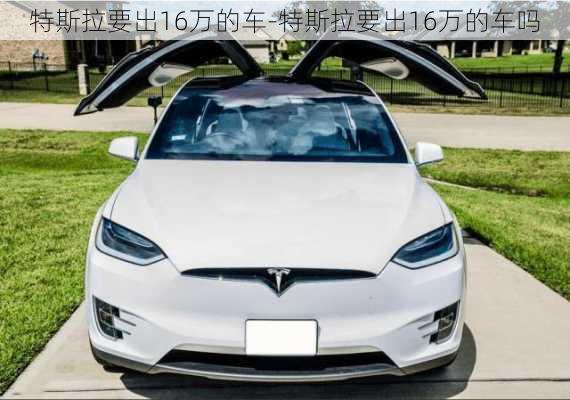 特斯拉要出16万的车-特斯拉要出16万的车吗