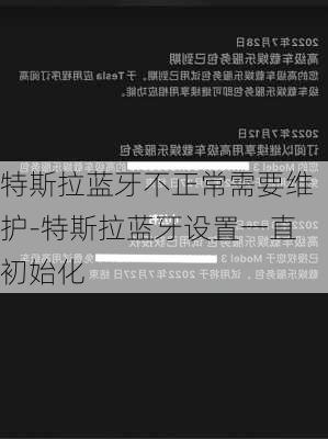 特斯拉蓝牙不正常需要维护-特斯拉蓝牙设置一直初始化