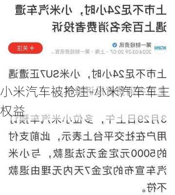 小米汽车被抢注-小米汽车车主权益