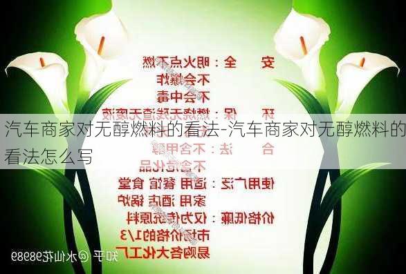 汽车商家对无醇燃料的看法-汽车商家对无醇燃料的看法怎么写