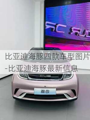 比亚迪海豚四款车型图片-比亚迪海豚最新信息