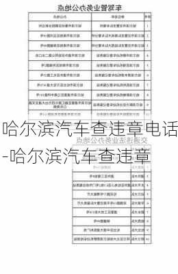 哈尔滨汽车查违章电话-哈尔滨汽车查违章