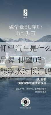 仰望汽车是什么品牌-仰望u8能浮水过长江吗