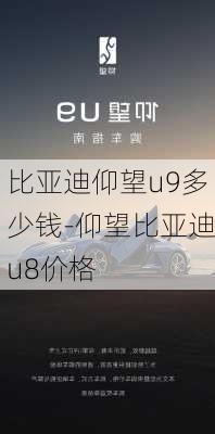 比亚迪仰望u9多少钱-仰望比亚迪u8价格