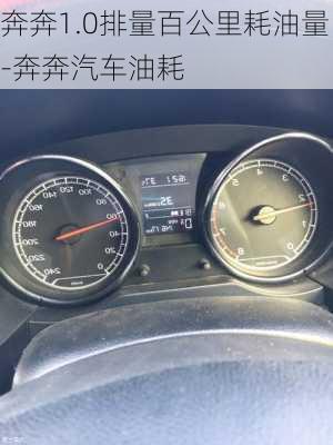 奔奔1.0排量百公里耗油量-奔奔汽车油耗