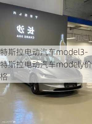 特斯拉电动汽车model3-特斯拉电动汽车modely价格