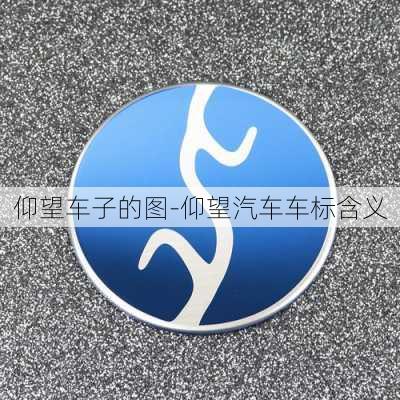 仰望车子的图-仰望汽车车标含义