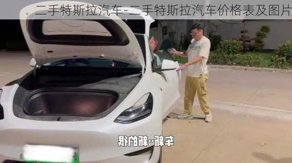 二手特斯拉汽车-二手特斯拉汽车价格表及图片