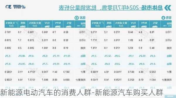 新能源电动汽车的消费人群-新能源汽车购买人群