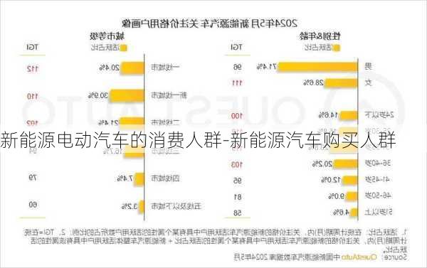 新能源电动汽车的消费人群-新能源汽车购买人群