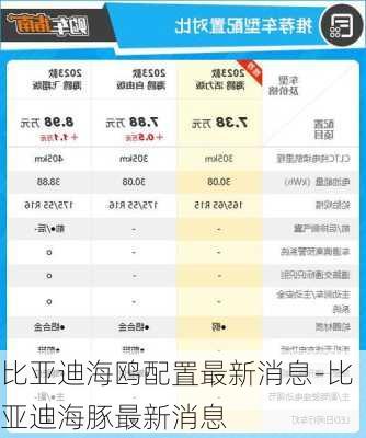 比亚迪海鸥配置最新消息-比亚迪海豚最新消息