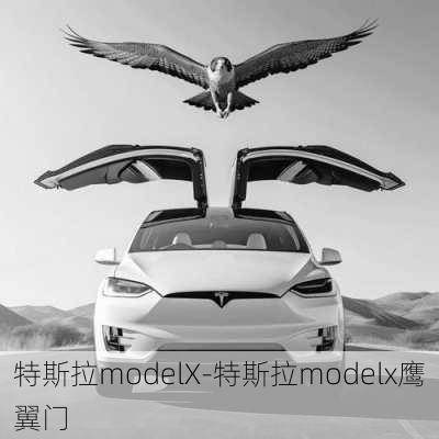 特斯拉modelX-特斯拉modelx鹰翼门