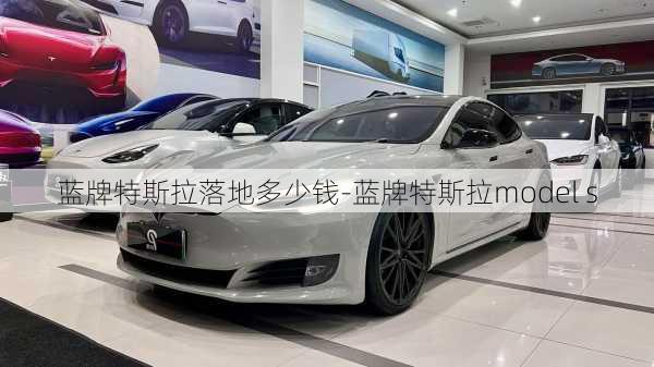 蓝牌特斯拉落地多少钱-蓝牌特斯拉model s