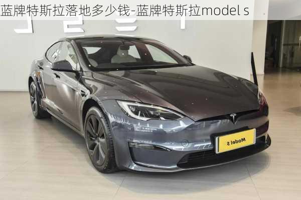 蓝牌特斯拉落地多少钱-蓝牌特斯拉model s