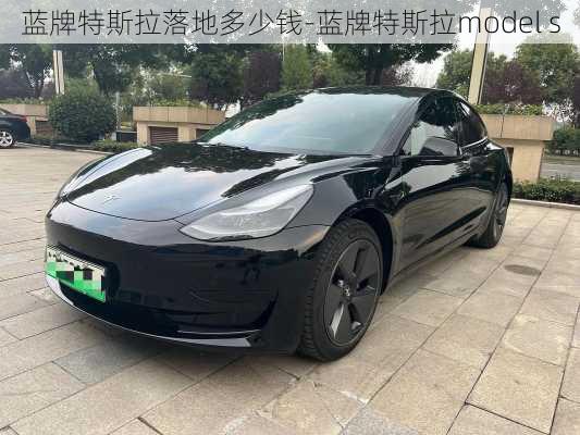 蓝牌特斯拉落地多少钱-蓝牌特斯拉model s