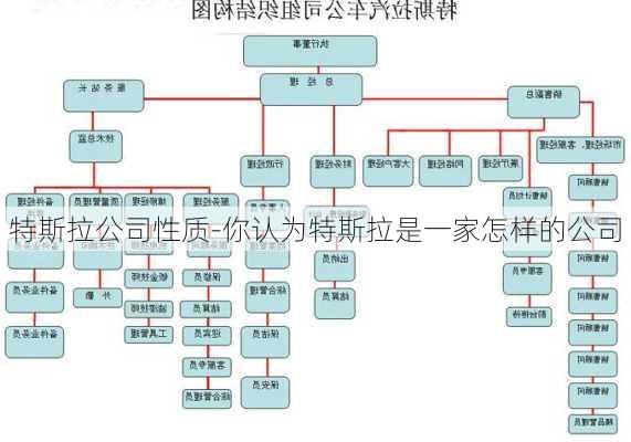 特斯拉公司性质-你认为特斯拉是一家怎样的公司