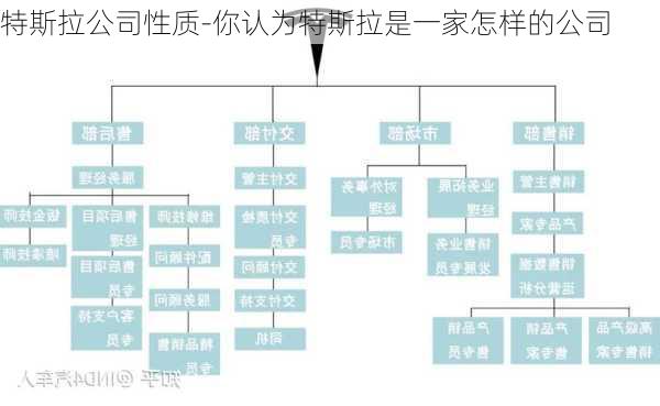 特斯拉公司性质-你认为特斯拉是一家怎样的公司