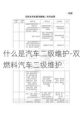 什么是汽车二级维护-双燃料汽车二级维护