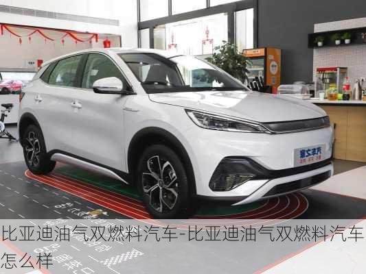 比亚迪油气双燃料汽车-比亚迪油气双燃料汽车怎么样