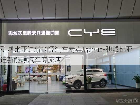 聊城比亚迪新能源汽车专卖店地址-聊城比亚迪新能源汽车专卖店