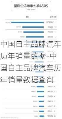中国自主品牌汽车历年销量数据-中国自主品牌汽车历年销量数据查询