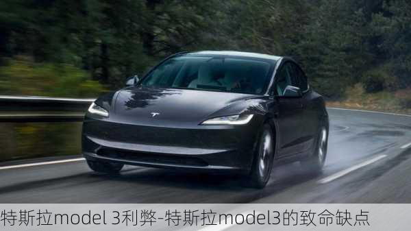 特斯拉model 3利弊-特斯拉model3的致命缺点