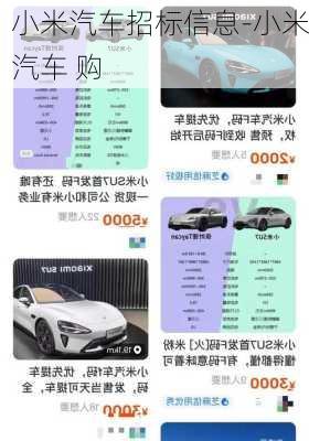 小米汽车招标信息-小米汽车 购