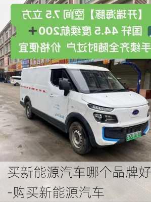 买新能源汽车哪个品牌好-购买新能源汽车