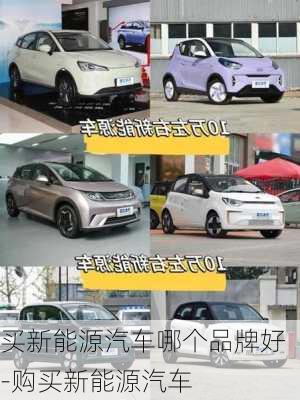 买新能源汽车哪个品牌好-购买新能源汽车