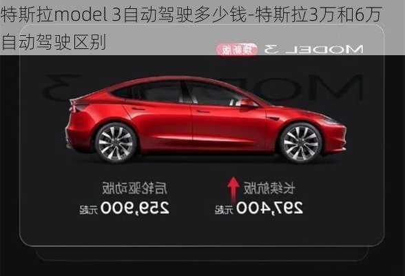 特斯拉model 3自动驾驶多少钱-特斯拉3万和6万自动驾驶区别