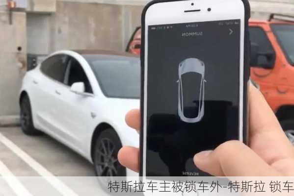 特斯拉车主被锁车外-特斯拉 锁车