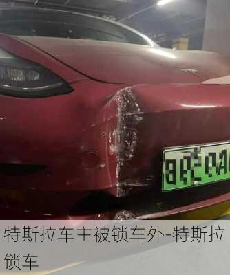 特斯拉车主被锁车外-特斯拉 锁车