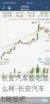 长安汽车股吧怎么样-长安汽车b股股吧