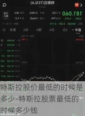 特斯拉股价最低的时候是多少-特斯拉股票最低的时候多少钱