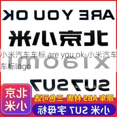 小米汽车车标 are you ok-小米汽车车标logo