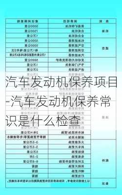 汽车发动机保养项目-汽车发动机保养常识是什么检查