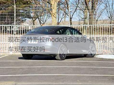 现在买特斯拉model3合适吗-特斯拉汽车现在买好吗