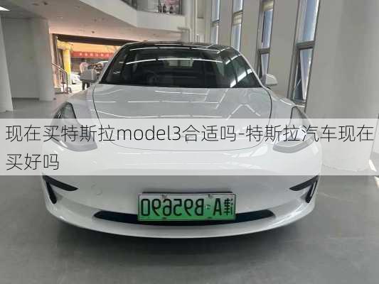 现在买特斯拉model3合适吗-特斯拉汽车现在买好吗