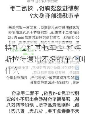 特斯拉和其他车企-和特斯拉待遇出不多的车企叫什么