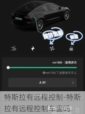 特斯拉有远程控制-特斯拉有远程控制车窗吗