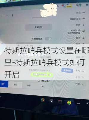 特斯拉哨兵模式设置在哪里-特斯拉哨兵模式如何开启