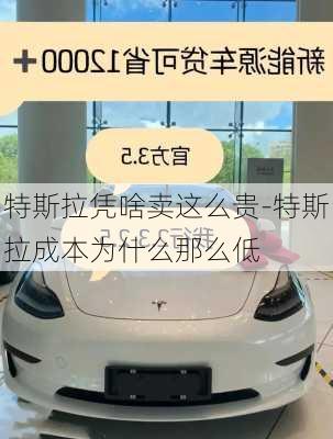 特斯拉凭啥卖这么贵-特斯拉成本为什么那么低