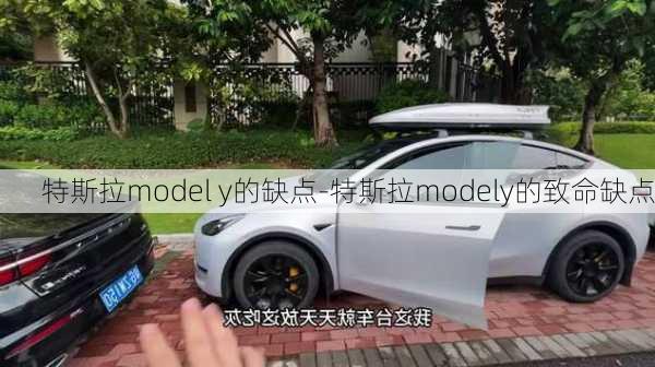 特斯拉model y的缺点-特斯拉modely的致命缺点