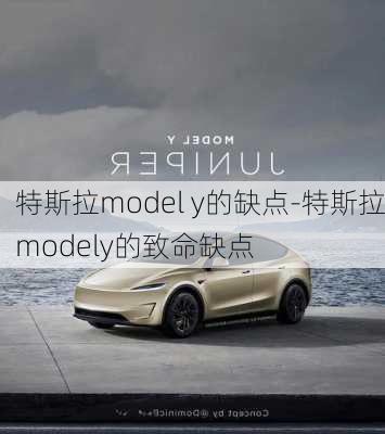 特斯拉model y的缺点-特斯拉modely的致命缺点