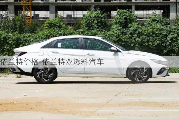 依兰特价格-依兰特双燃料汽车