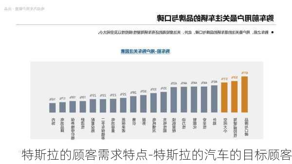 特斯拉的顾客需求特点-特斯拉的汽车的目标顾客