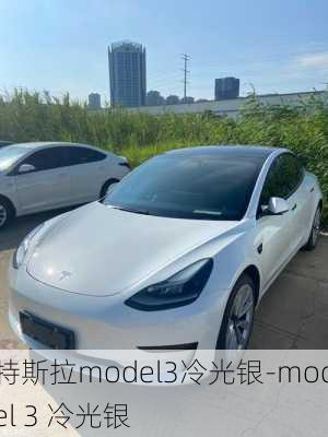 特斯拉model3冷光银-model 3 冷光银